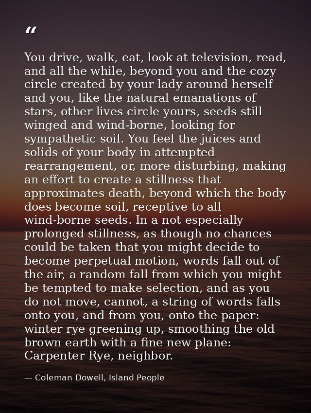 You drive, walk, eat, look at television, read, and all the while, beyond you and the cozy circle created by your lady a — Coleman Dowell, Island People