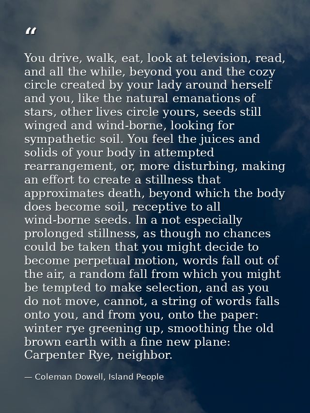 You drive, walk, eat, look at television, read, and all the while, beyond you and the cozy circle created by your lady a — Coleman Dowell, Island People
