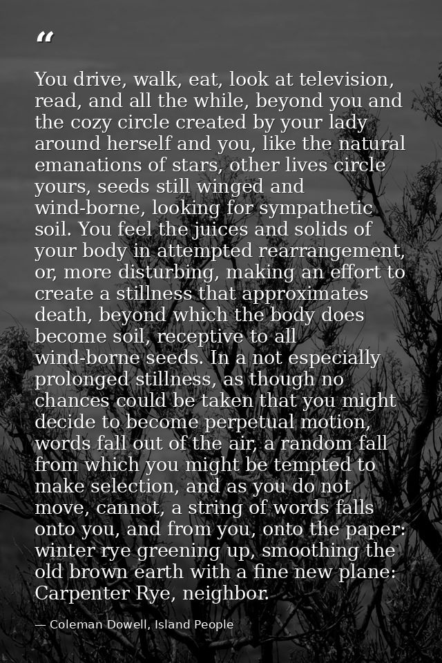 You drive, walk, eat, look at television, read, and all the while, beyond you and the cozy circle created by your lady a — Coleman Dowell, Island People
