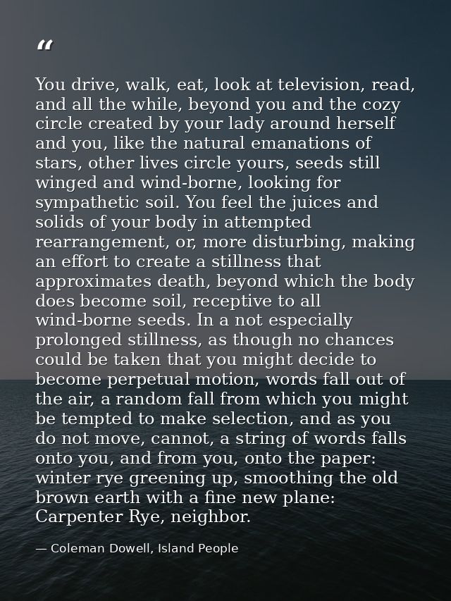 You drive, walk, eat, look at television, read, and all the while, beyond you and the cozy circle created by your lady a — Coleman Dowell, Island People