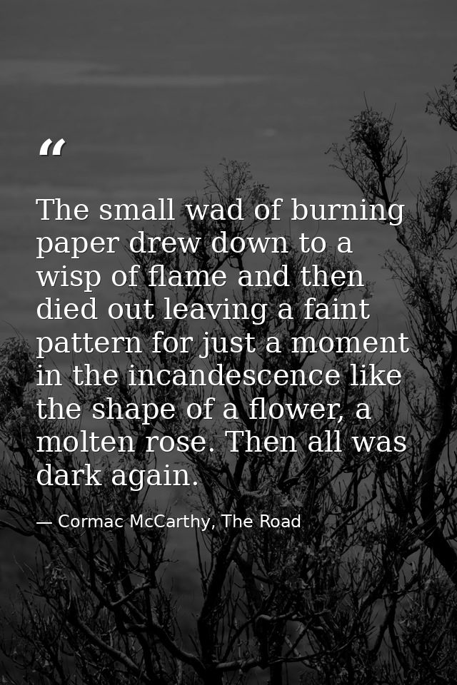 The small wad of burning paper drew down to a wisp of flame and then died out leaving a faint pattern for just a moment  — Cormac McCarthy, The Road