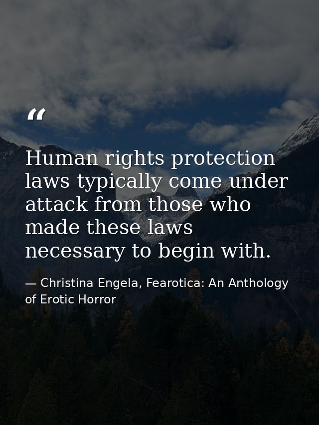 Human rights protection laws typically come under attack from those who made these laws necessary to begin with. — Christina Engela, Fearotica: An Anthology of Erotic Horror