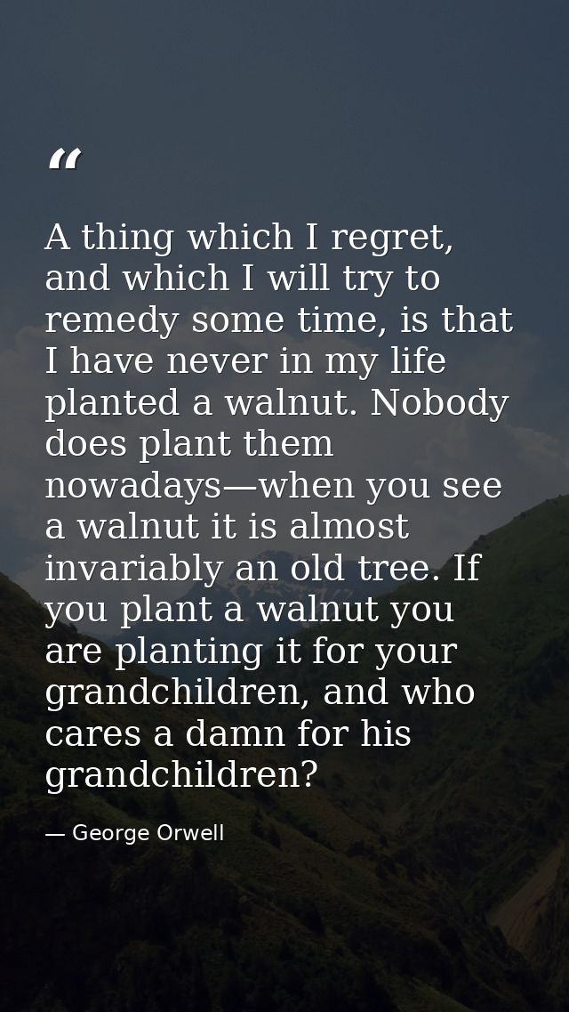 A thing which I regret, and which I will try to remedy some time, is that I have never in my life planted a walnut. Nobo — George Orwell