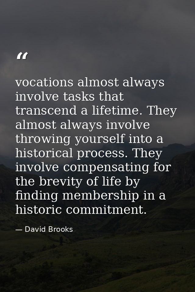 vocations almost always involve tasks that transcend a lifetime. They almost always involve throwing yourself into a his — David Brooks