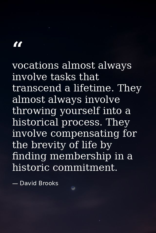 vocations almost always involve tasks that transcend a lifetime. They almost always involve throwing yourself into a his — David Brooks