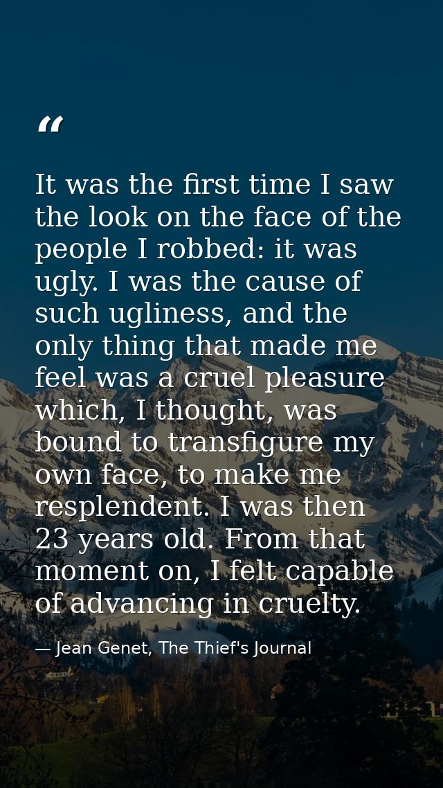 It was the first time I saw the look on the face of the people I robbed: it was ugly. I was the cause of such ugliness,  — Jean Genet, The Thief's Journal