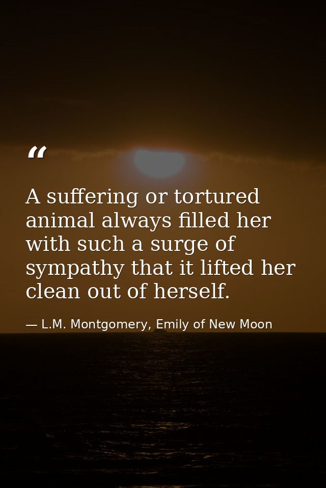 A suffering or tortured animal always filled her with such a surge of sympathy that it lifted her clean out of herself. — L.M. Montgomery, Emily of New Moon