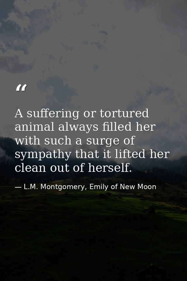 A suffering or tortured animal always filled her with such a surge of sympathy that it lifted her clean out of herself. — L.M. Montgomery, Emily of New Moon