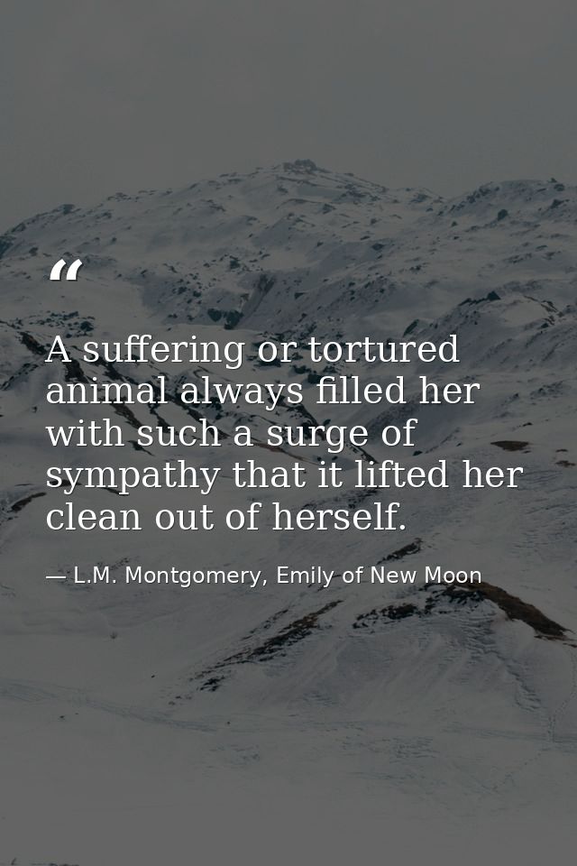 A suffering or tortured animal always filled her with such a surge of sympathy that it lifted her clean out of herself. — L.M. Montgomery, Emily of New Moon