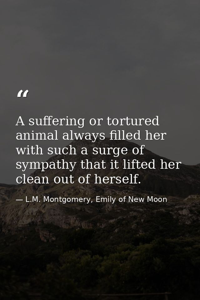 A suffering or tortured animal always filled her with such a surge of sympathy that it lifted her clean out of herself. — L.M. Montgomery, Emily of New Moon