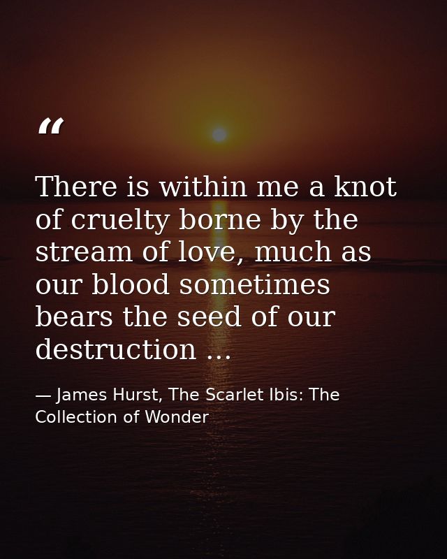 There is within me a knot of cruelty borne by the stream of love, much as our blood sometimes bears the seed of our dest — James Hurst, The Scarlet Ibis: The Collection of Wonder