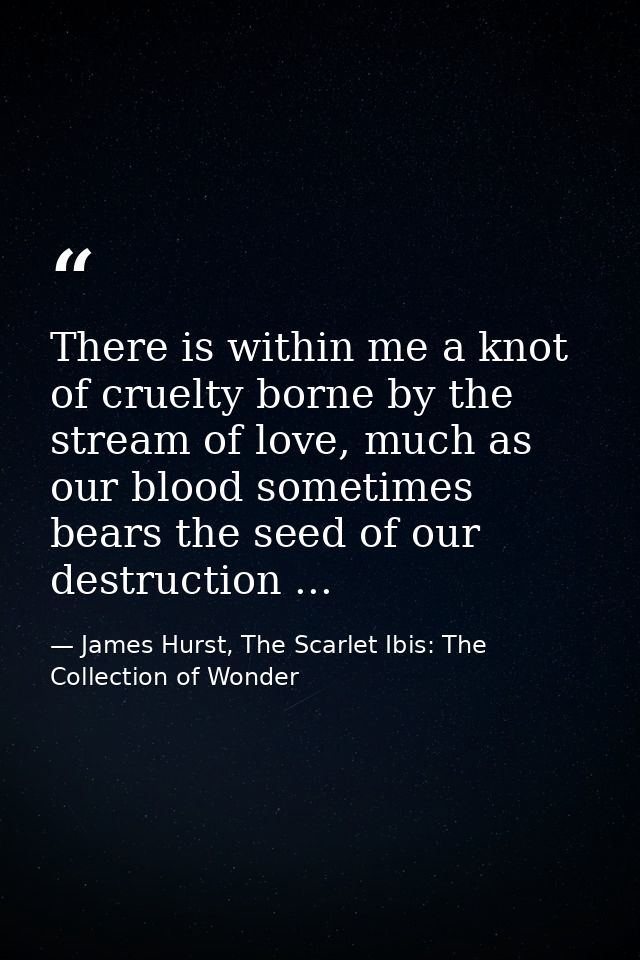 There is within me a knot of cruelty borne by the stream of love, much as our blood sometimes bears the seed of our dest — James Hurst, The Scarlet Ibis: The Collection of Wonder