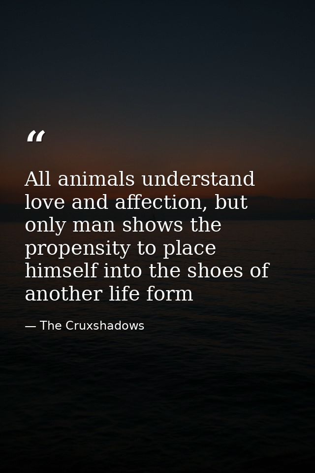 All animals understand love and affection, but only man shows the propensity to place himself into the shoes of another  — The Cruxshadows