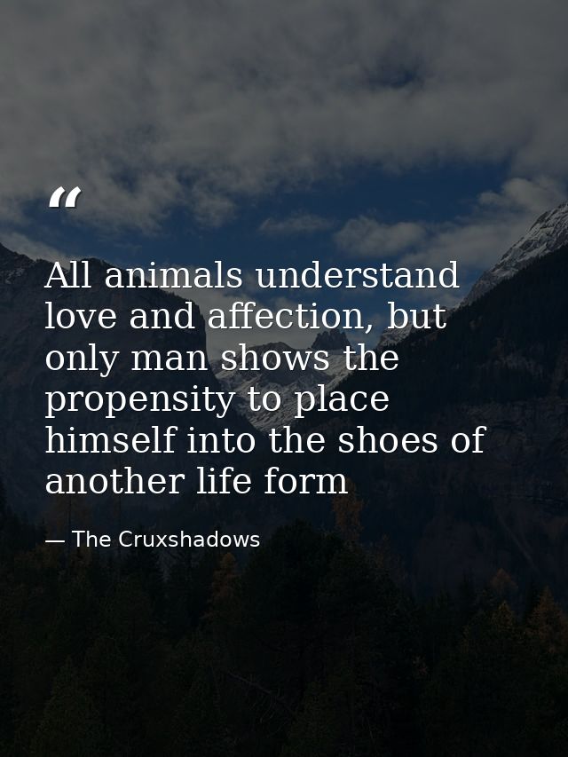 All animals understand love and affection, but only man shows the propensity to place himself into the shoes of another  — The Cruxshadows