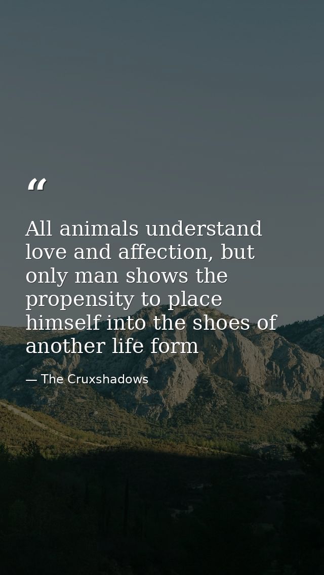 All animals understand love and affection, but only man shows the propensity to place himself into the shoes of another  — The Cruxshadows