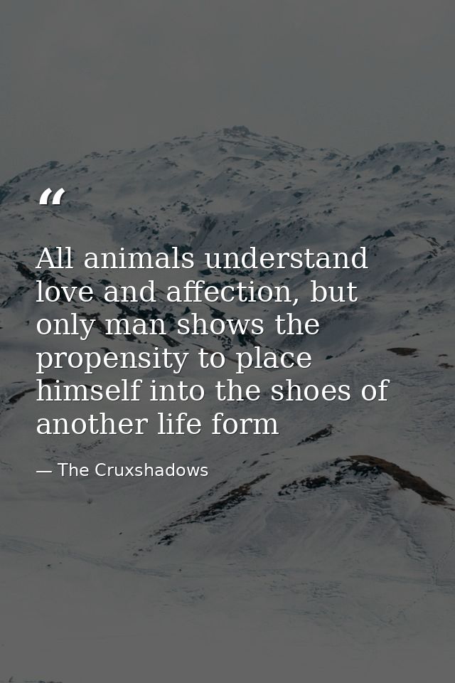 All animals understand love and affection, but only man shows the propensity to place himself into the shoes of another  — The Cruxshadows