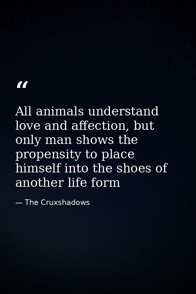 All animals understand love and affection, but only man shows the propensity to place himself into the shoes of another  — The Cruxshadows