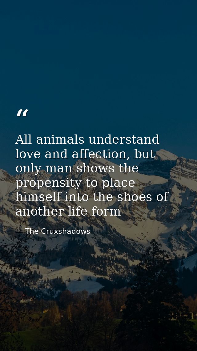 All animals understand love and affection, but only man shows the propensity to place himself into the shoes of another  — The Cruxshadows
