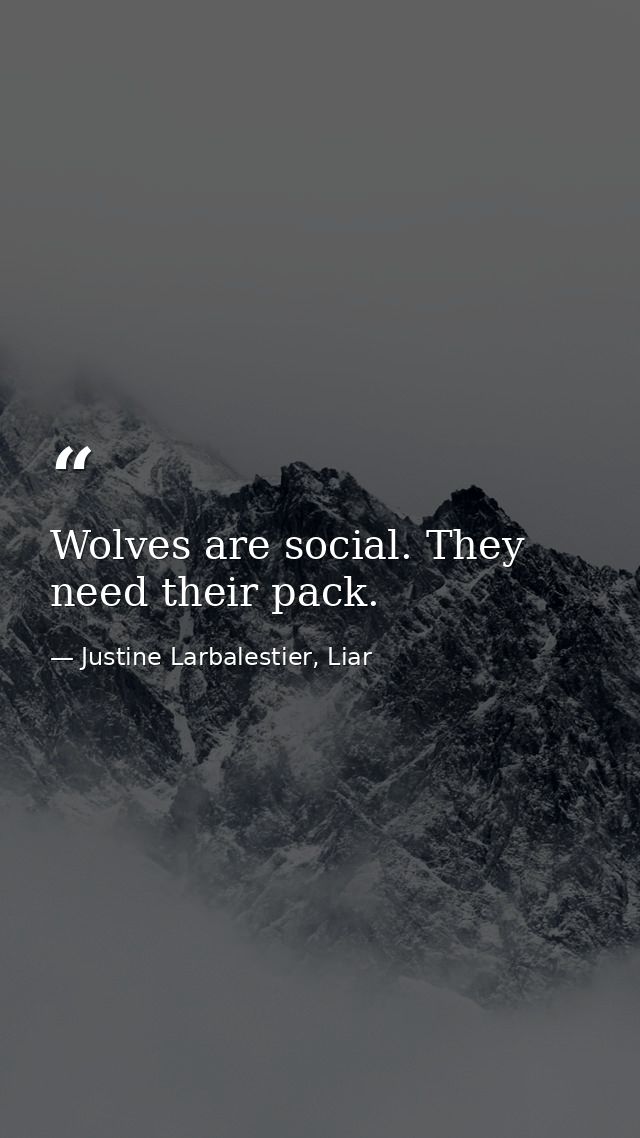 Wolves are social. They need their pack. — Justine Larbalestier, Liar