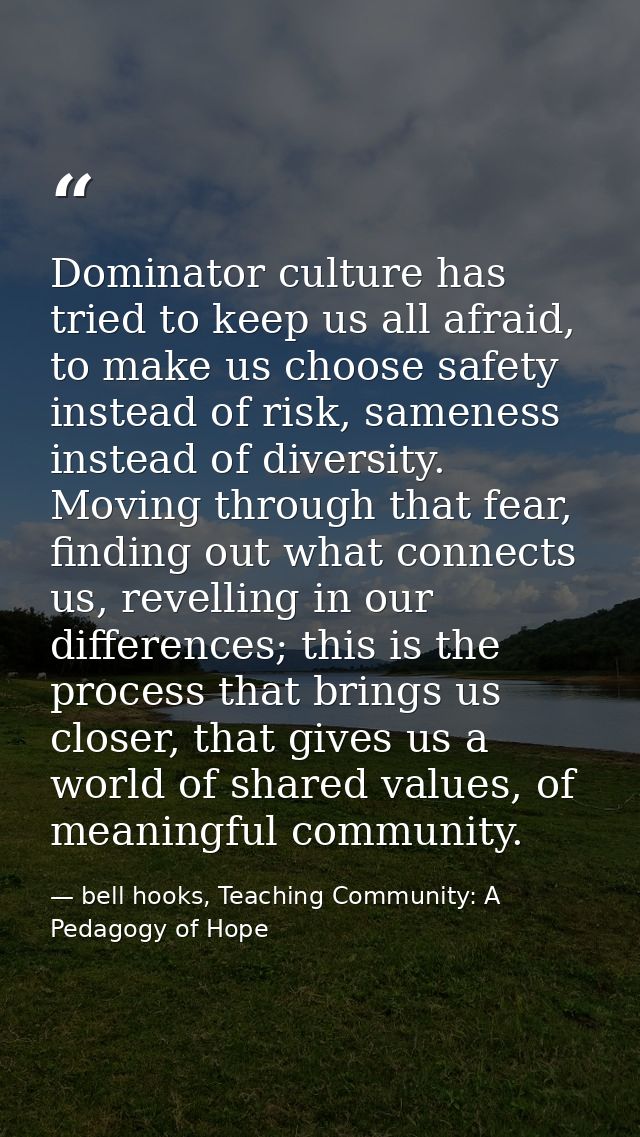 Dominator culture has tried to keep us all afraid, to make us choose safety instead of risk, sameness instead of diversi — bell hooks, Teaching Community: A Pedagogy of Hope