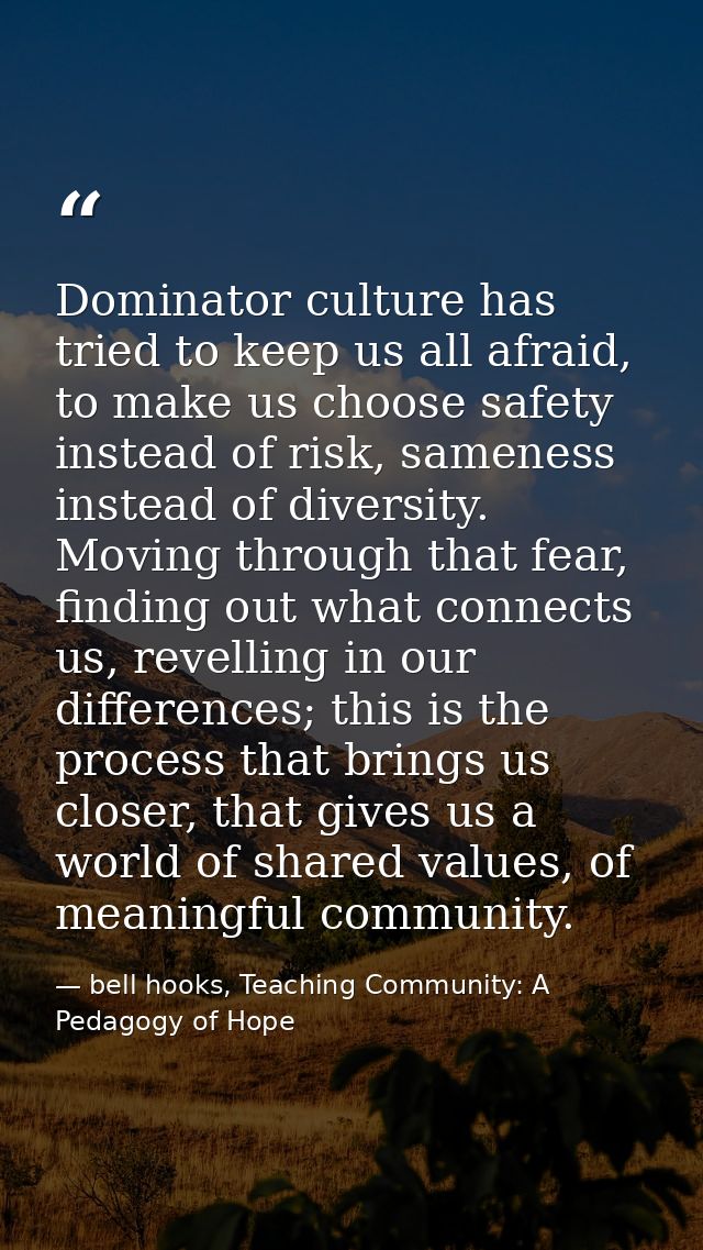 Dominator culture has tried to keep us all afraid, to make us choose safety instead of risk, sameness instead of diversi — bell hooks, Teaching Community: A Pedagogy of Hope
