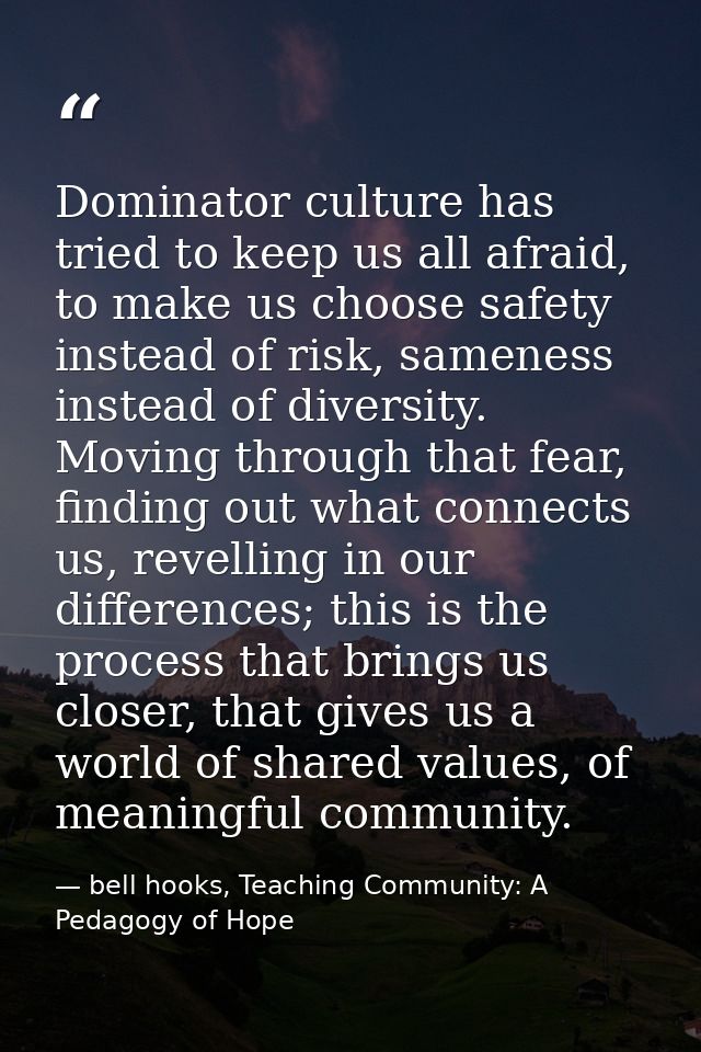 Dominator culture has tried to keep us all afraid, to make us choose safety instead of risk, sameness instead of diversi — bell hooks, Teaching Community: A Pedagogy of Hope
