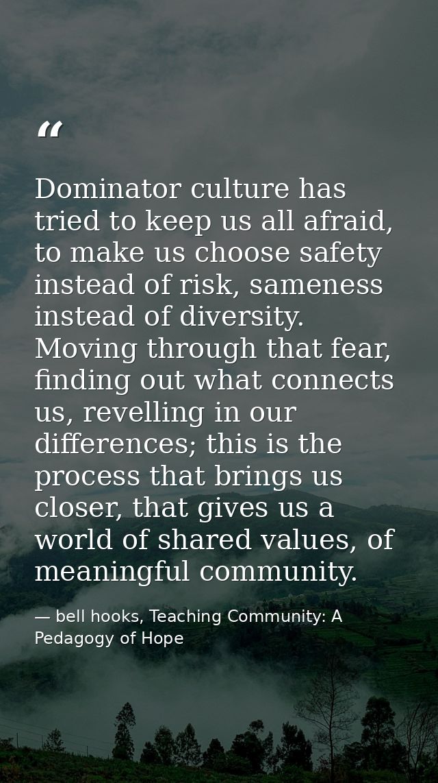 Dominator culture has tried to keep us all afraid, to make us choose safety instead of risk, sameness instead of diversi — bell hooks, Teaching Community: A Pedagogy of Hope