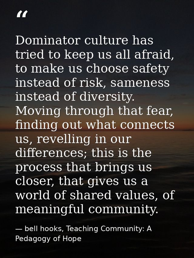 Dominator culture has tried to keep us all afraid, to make us choose safety instead of risk, sameness instead of diversi — bell hooks, Teaching Community: A Pedagogy of Hope