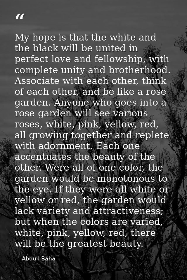 My hope is that the white and the black will be united in perfect love and fellowship, with complete unity and brotherho — Abdu'l-Bahá