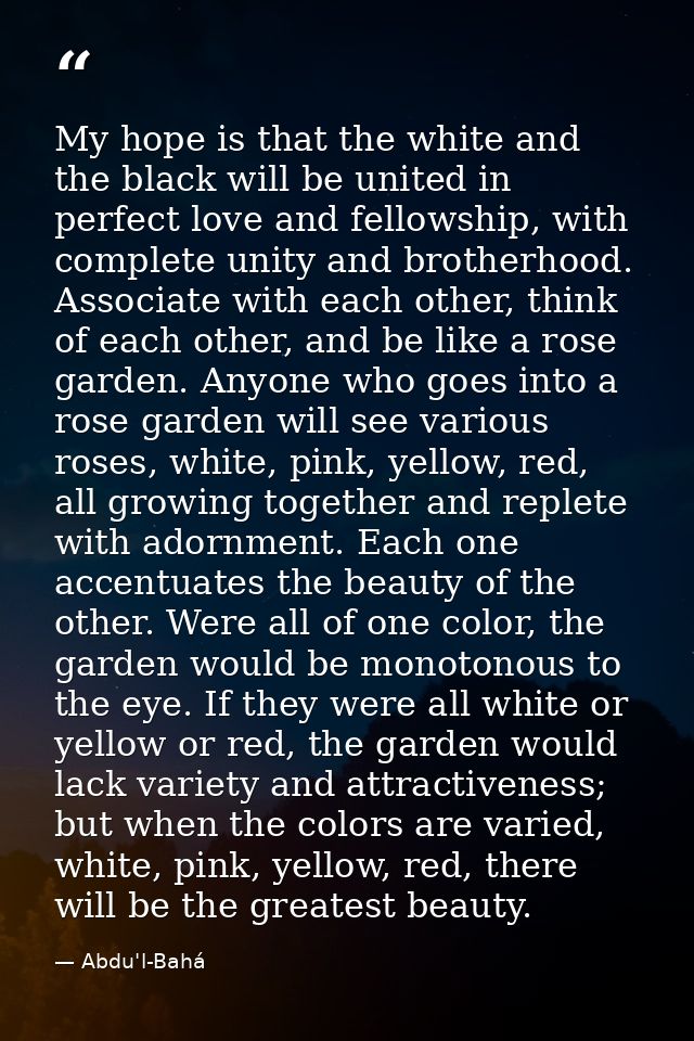 My hope is that the white and the black will be united in perfect love and fellowship, with complete unity and brotherho — Abdu'l-Bahá