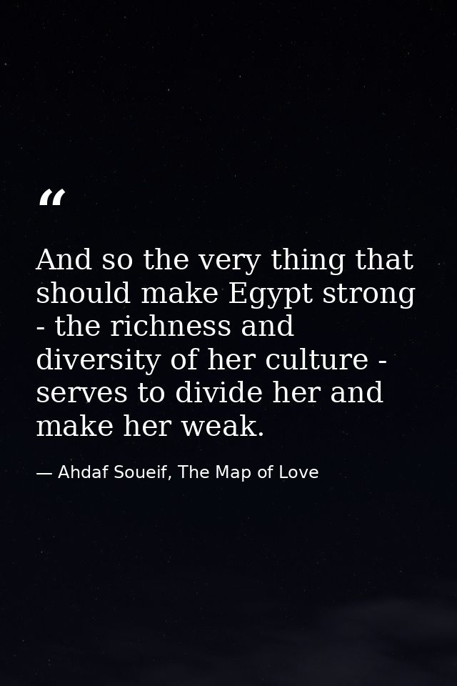 And so the very thing that should make Egypt strong - the richness and diversity of her culture - serves to divide her a — Ahdaf Soueif, The Map of Love