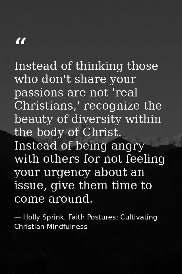 Instead of thinking those who don't share your passions are not 'real Christians,' recognize the beauty of diversity wit — Holly Sprink, Faith Postures: Cultivating Christian Mindfulness