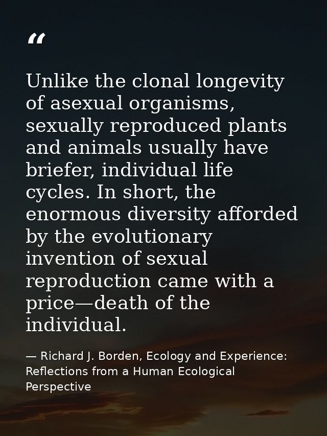 Unlike the clonal longevity of asexual organisms, sexually reproduced plants and animals usually have briefer, individua — Richard J. Borden, Ecology and Experience: Reflections from a Human Ecological Perspective