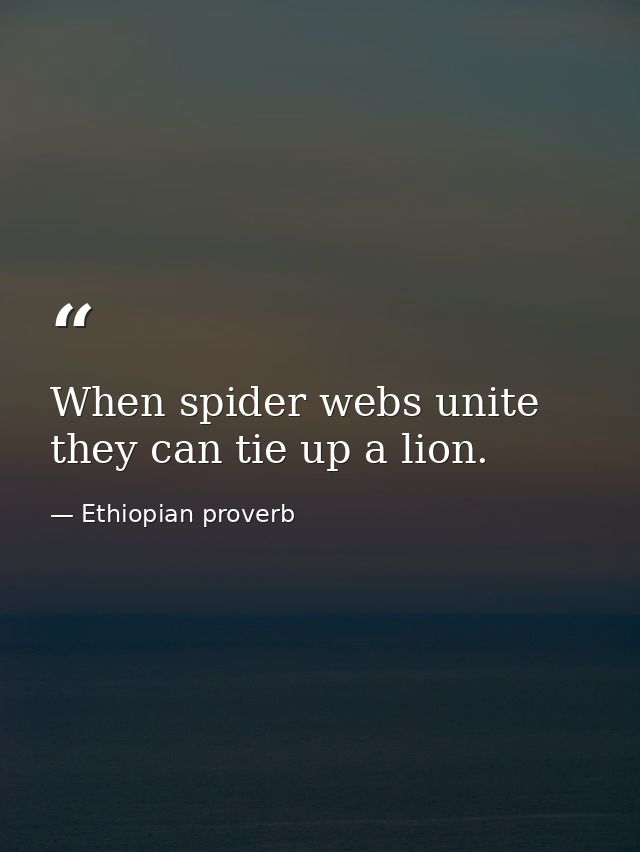 When spider webs unite  they can tie up a lion. — Ethiopian proverb
