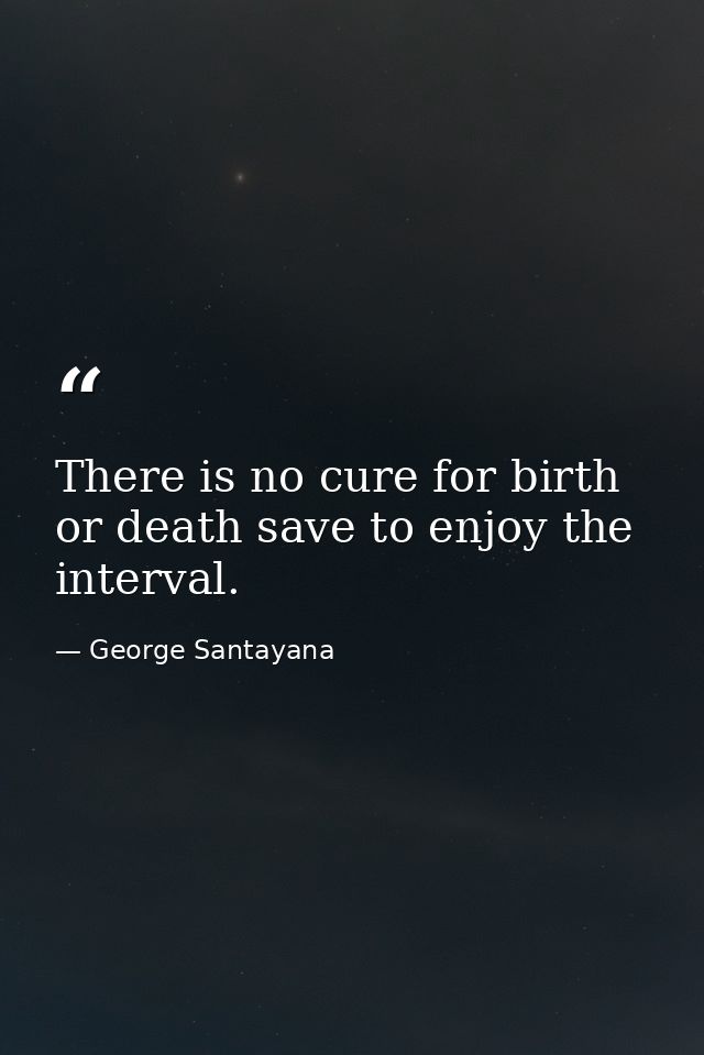 There is no cure for birth or death save to enjoy the interval. — George Santayana