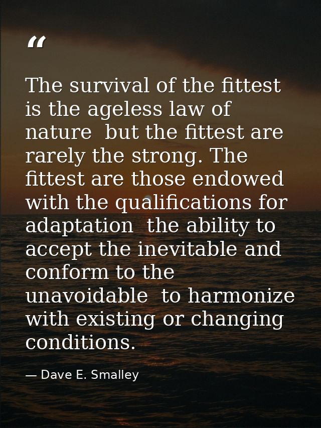 The survival of the fittest is the ageless law of nature  but the fittest are rarely the strong. The fittest are those e — Dave E. Smalley