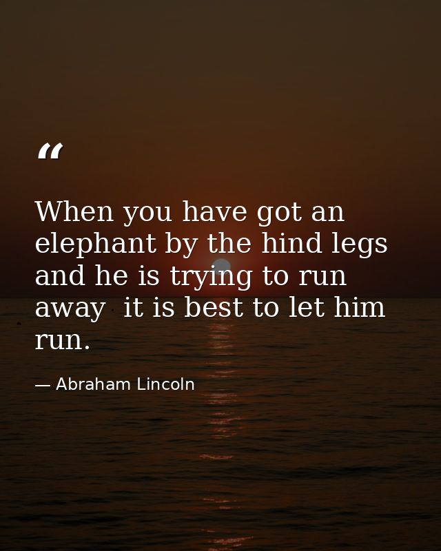 When you have got an elephant by the hind legs and he is trying to run away  it is best to let him run. — Abraham Lincoln