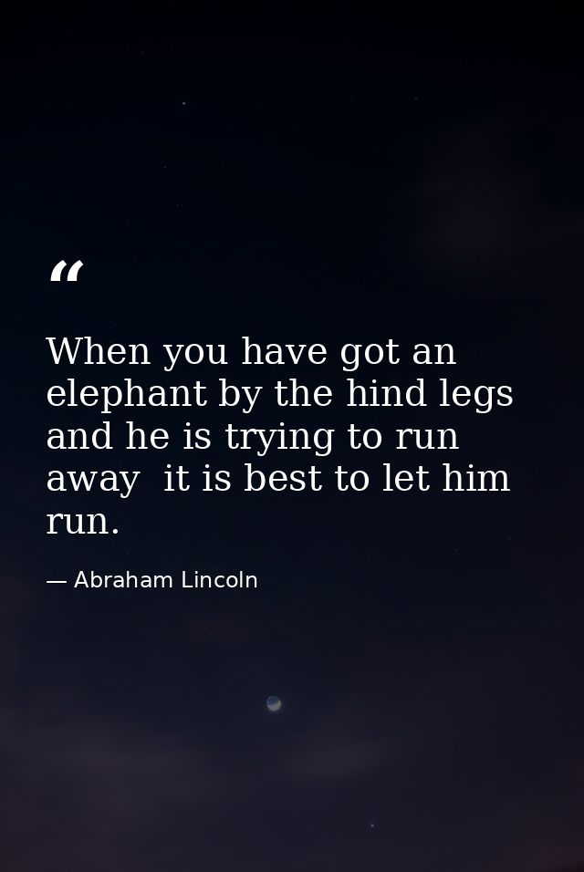 When you have got an elephant by the hind legs and he is trying to run away  it is best to let him run. — Abraham Lincoln