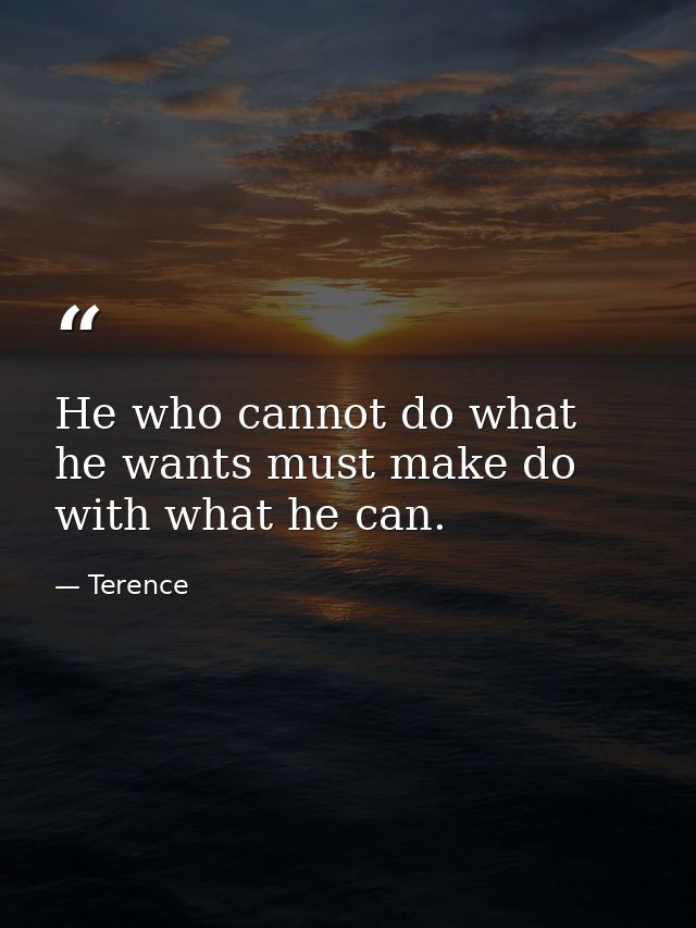 He who cannot do what he wants must make do with what he can. — Terence