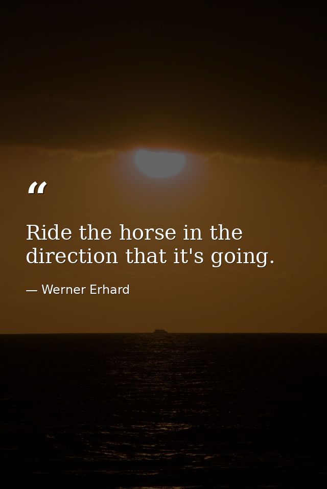 Ride the horse in the direction that it's going. — Werner Erhard