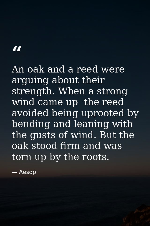 An oak and a reed were arguing about their strength. When a strong wind came up  the reed avoided being uprooted by bend — Aesop