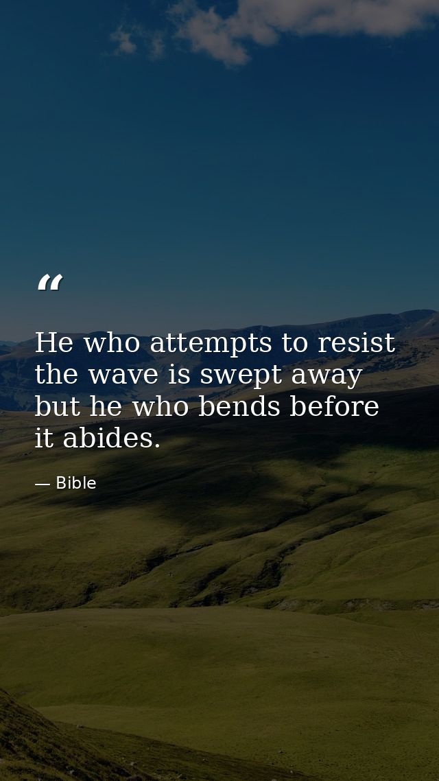 He who attempts to resist the wave is swept away  but he who bends before it abides. — Bible