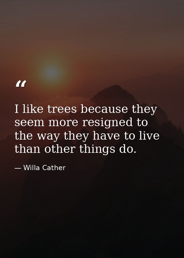 I like trees because they seem more resigned to the way they have to live than other things do. — Willa Cather