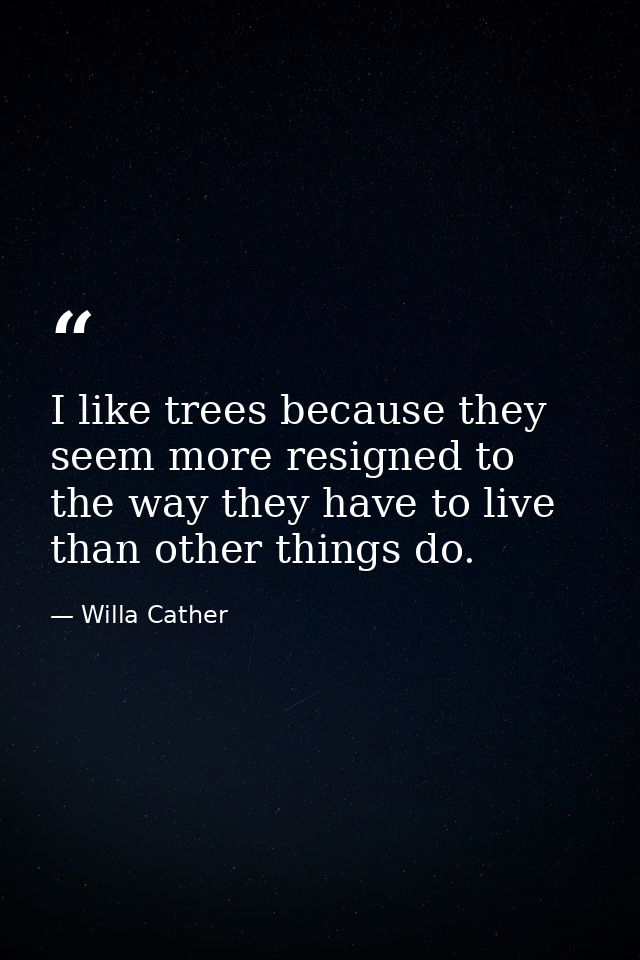 I like trees because they seem more resigned to the way they have to live than other things do. — Willa Cather