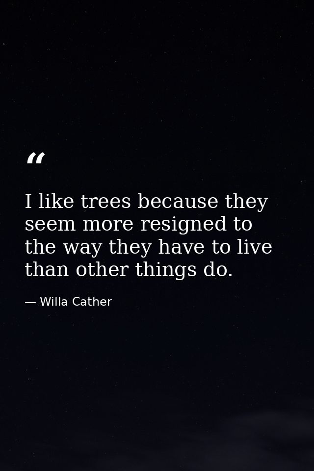 I like trees because they seem more resigned to the way they have to live than other things do. — Willa Cather