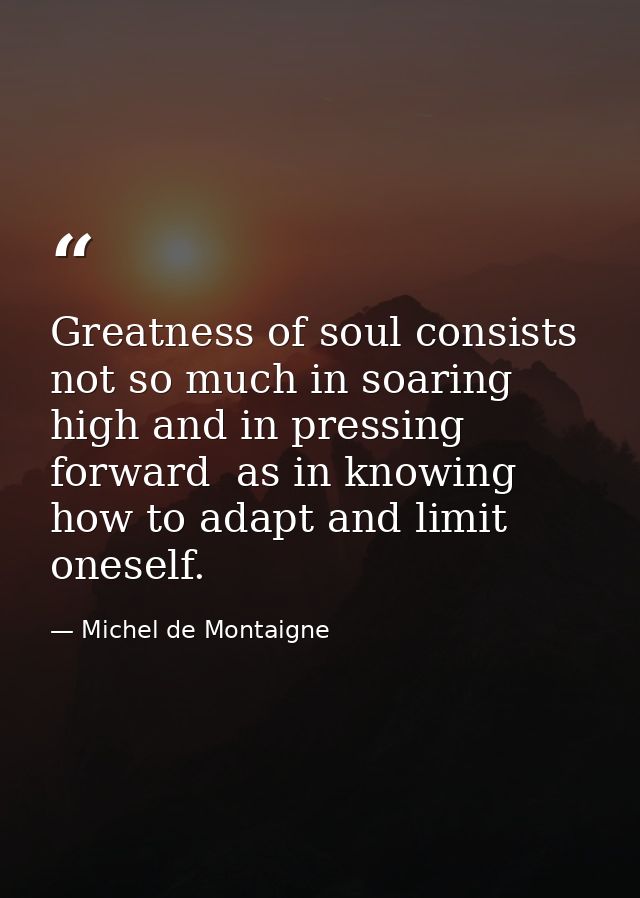 Greatness of soul consists not so much in soaring high and in pressing forward  as in knowing how to adapt and limit one — Michel de Montaigne