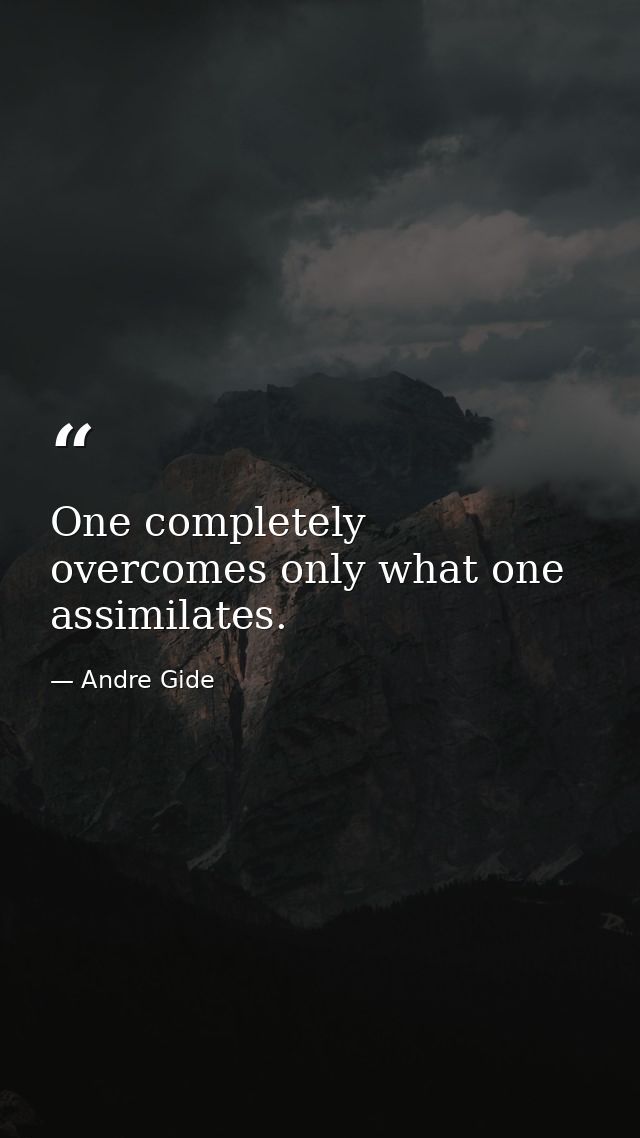One completely overcomes only what one assimilates. — Andre Gide
