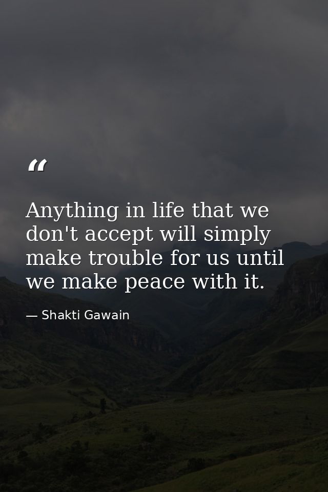 Anything in life that we don't accept will simply make trouble for us until we make peace with it. — Shakti Gawain