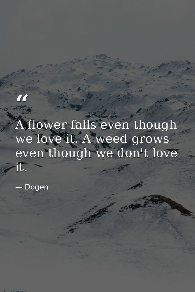 A flower falls even though we love it. A weed grows even though we don't love it. — Dogen