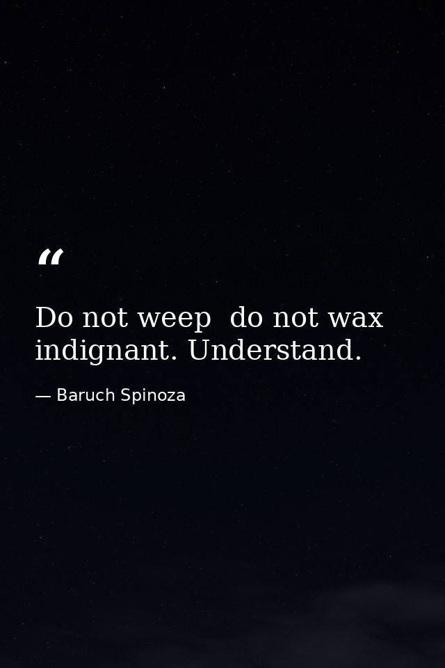 Do not weep  do not wax indignant. Understand. — Baruch Spinoza